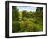 Scenic View of Country Garden-Tim Kahane-Framed Premium Photographic Print