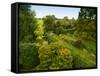 Scenic View of Country Garden-Tim Kahane-Framed Stretched Canvas
