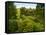 Scenic View of Country Garden-Tim Kahane-Framed Stretched Canvas