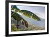 Scenic view of fog over mountains, Sinho District, Vietnam-null-Framed Photographic Print