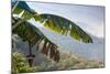 Scenic view of fog over mountains, Sinho District, Vietnam-null-Mounted Photographic Print