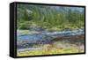 Scenic View of Ford's Terror, Tongass National Forest Alaska, USA-Jaynes Gallery-Framed Stretched Canvas