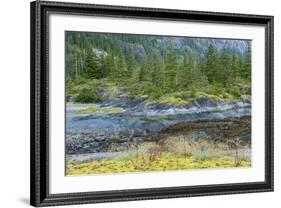 Scenic View of Ford's Terror, Tongass National Forest Alaska, USA-Jaynes Gallery-Framed Photographic Print