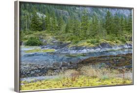 Scenic View of Ford's Terror, Tongass National Forest Alaska, USA-Jaynes Gallery-Framed Photographic Print