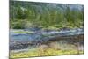 Scenic View of Ford's Terror, Tongass National Forest Alaska, USA-Jaynes Gallery-Mounted Photographic Print
