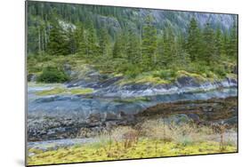 Scenic View of Ford's Terror, Tongass National Forest Alaska, USA-Jaynes Gallery-Mounted Photographic Print