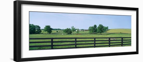 Scenic view of horse farm, Woodford County, Kentucky, USA-null-Framed Photographic Print