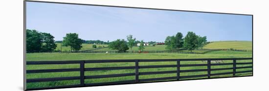 Scenic view of horse farm, Woodford County, Kentucky, USA-null-Mounted Photographic Print