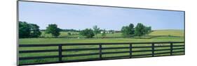 Scenic view of horse farm, Woodford County, Kentucky, USA-null-Mounted Photographic Print