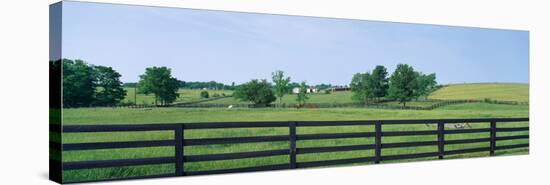 Scenic view of horse farm, Woodford County, Kentucky, USA-null-Stretched Canvas