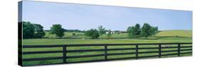 Scenic view of horse farm, Woodford County, Kentucky, USA-null-Stretched Canvas