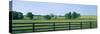 Scenic view of horse farm, Woodford County, Kentucky, USA-null-Stretched Canvas