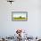 Scenic view of lone tree in canola field, Ontario, Canada-null-Framed Photographic Print displayed on a wall