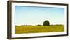 Scenic view of lone tree in canola field, Ontario, Canada-null-Framed Photographic Print