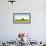 Scenic view of lone tree in canola field, Ontario, Canada-null-Framed Photographic Print displayed on a wall