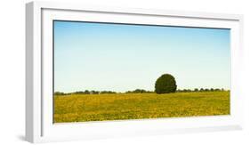 Scenic view of lone tree in canola field, Ontario, Canada-null-Framed Photographic Print