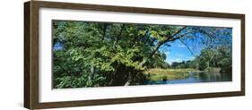 Scenic view of marsh, Chiwaukee Prairie, Kenosha County, Wisconsin, USA-null-Framed Photographic Print