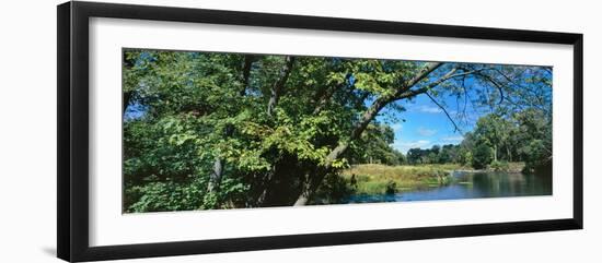 Scenic view of marsh, Chiwaukee Prairie, Kenosha County, Wisconsin, USA-null-Framed Photographic Print