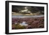 Scenic View of Moorland Habitat Showing Flowering Heather in Foreground, Peak District Np-Ben Hall-Framed Photographic Print