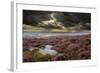 Scenic View of Moorland Habitat Showing Flowering Heather in Foreground, Peak District Np-Ben Hall-Framed Photographic Print