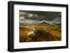 Scenic View of Moorland Landscape from Blackbeck Tarn, Lake District Np, Cumbria, UK-Ben Hall-Framed Photographic Print