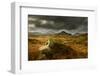 Scenic View of Moorland Landscape from Blackbeck Tarn, Lake District Np, Cumbria, UK-Ben Hall-Framed Photographic Print
