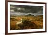 Scenic View of Moorland Landscape from Blackbeck Tarn, Lake District Np, Cumbria, UK-Ben Hall-Framed Photographic Print