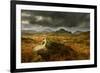 Scenic View of Moorland Landscape from Blackbeck Tarn, Lake District Np, Cumbria, UK-Ben Hall-Framed Photographic Print