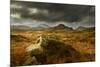 Scenic View of Moorland Landscape from Blackbeck Tarn, Lake District Np, Cumbria, UK-Ben Hall-Mounted Photographic Print