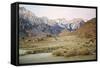 Scenic View Of Mount Whitney From The Alabama Hill In The Morning Light-Ron Koeberer-Framed Stretched Canvas