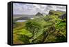 Scenic View of Quiraing Mountains in Isle of Skye, Scottish Highlands, United Kingdom-Martin M303-Framed Stretched Canvas