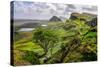 Scenic View of Quiraing Mountains in Isle of Skye, Scottish Highlands, United Kingdom-Martin M303-Stretched Canvas