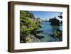 Scenic view of rock formations, Haystack Rock, Cannon Beach, Samuel H. Boardman State Scenic Cor...-Panoramic Images-Framed Photographic Print