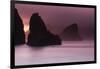 Scenic view of rock formations on the beach, Haystack Rock, Cannon Beach, Samuel H. Boardman Sta...-Panoramic Images-Framed Photographic Print