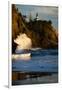 Scenic view of seacoast, Cape Disappointment State Park, Washington, USA-Panoramic Images-Framed Photographic Print