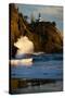 Scenic view of seacoast, Cape Disappointment State Park, Washington, USA-Panoramic Images-Stretched Canvas