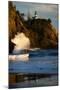 Scenic view of seacoast, Cape Disappointment State Park, Washington, USA-Panoramic Images-Mounted Photographic Print