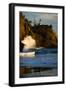 Scenic view of seacoast, Cape Disappointment State Park, Washington, USA-Panoramic Images-Framed Photographic Print