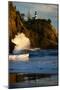 Scenic view of seacoast, Cape Disappointment State Park, Washington, USA-Panoramic Images-Mounted Photographic Print