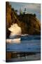 Scenic view of seacoast, Cape Disappointment State Park, Washington, USA-Panoramic Images-Stretched Canvas