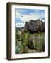 Scenic view of Smith Rock, Crooked River, Smith Rock State Park, Deschutes County, Oregon, USA-null-Framed Photographic Print