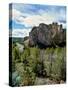 Scenic view of Smith Rock, Crooked River, Smith Rock State Park, Deschutes County, Oregon, USA-null-Stretched Canvas