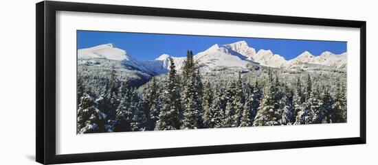 Scenic view of snowcapped mountain, Kenai Mountains, Alaska, USA-Panoramic Images-Framed Photographic Print