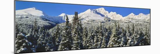 Scenic view of snowcapped mountain, Kenai Mountains, Alaska, USA-Panoramic Images-Mounted Photographic Print