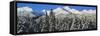 Scenic view of snowcapped mountain, Kenai Mountains, Alaska, USA-Panoramic Images-Framed Stretched Canvas