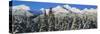 Scenic view of snowcapped mountain, Kenai Mountains, Alaska, USA-Panoramic Images-Stretched Canvas
