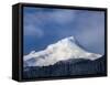 Scenic view of snowcapped mountain, Mt Hood, White River, Mt Hood National Forest, Hood River Co...-null-Framed Stretched Canvas