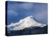 Scenic view of snowcapped mountain, Mt Hood, White River, Mt Hood National Forest, Hood River Co...-null-Stretched Canvas