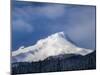 Scenic view of snowcapped mountain, Mt Hood, White River, Mt Hood National Forest, Hood River Co...-null-Mounted Photographic Print