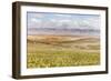 Scenic View Of The Carrizo Plain-Ron Koeberer-Framed Photographic Print